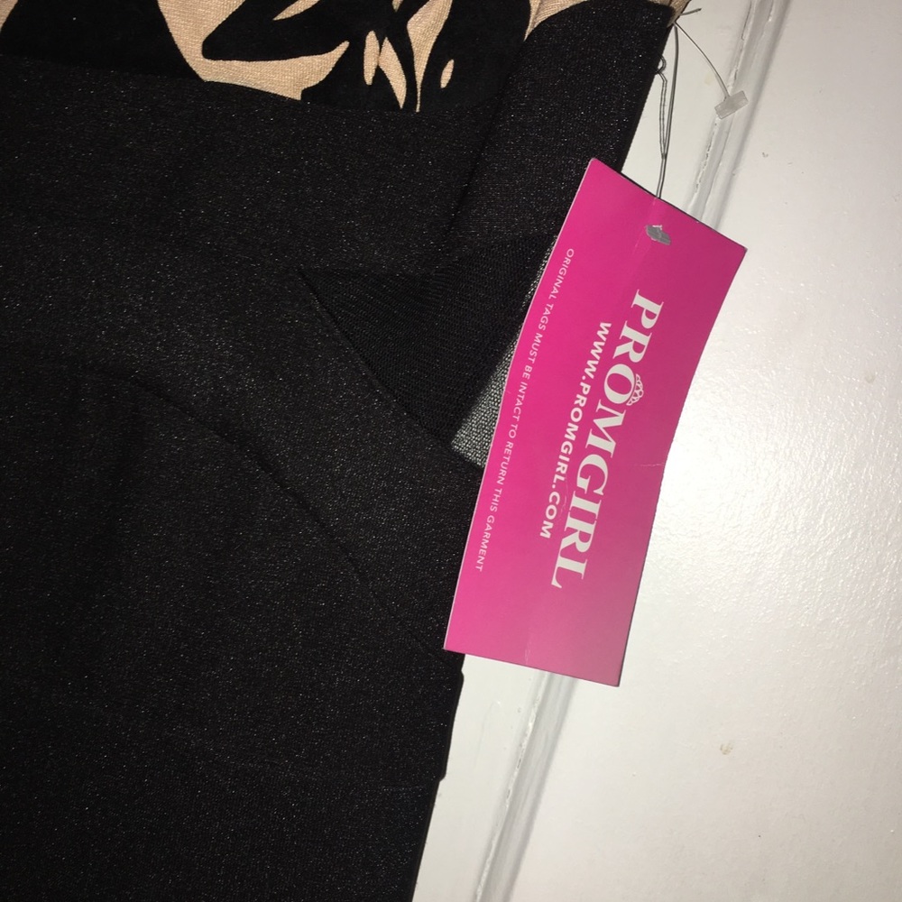 Black and Tan Bodycon Dress